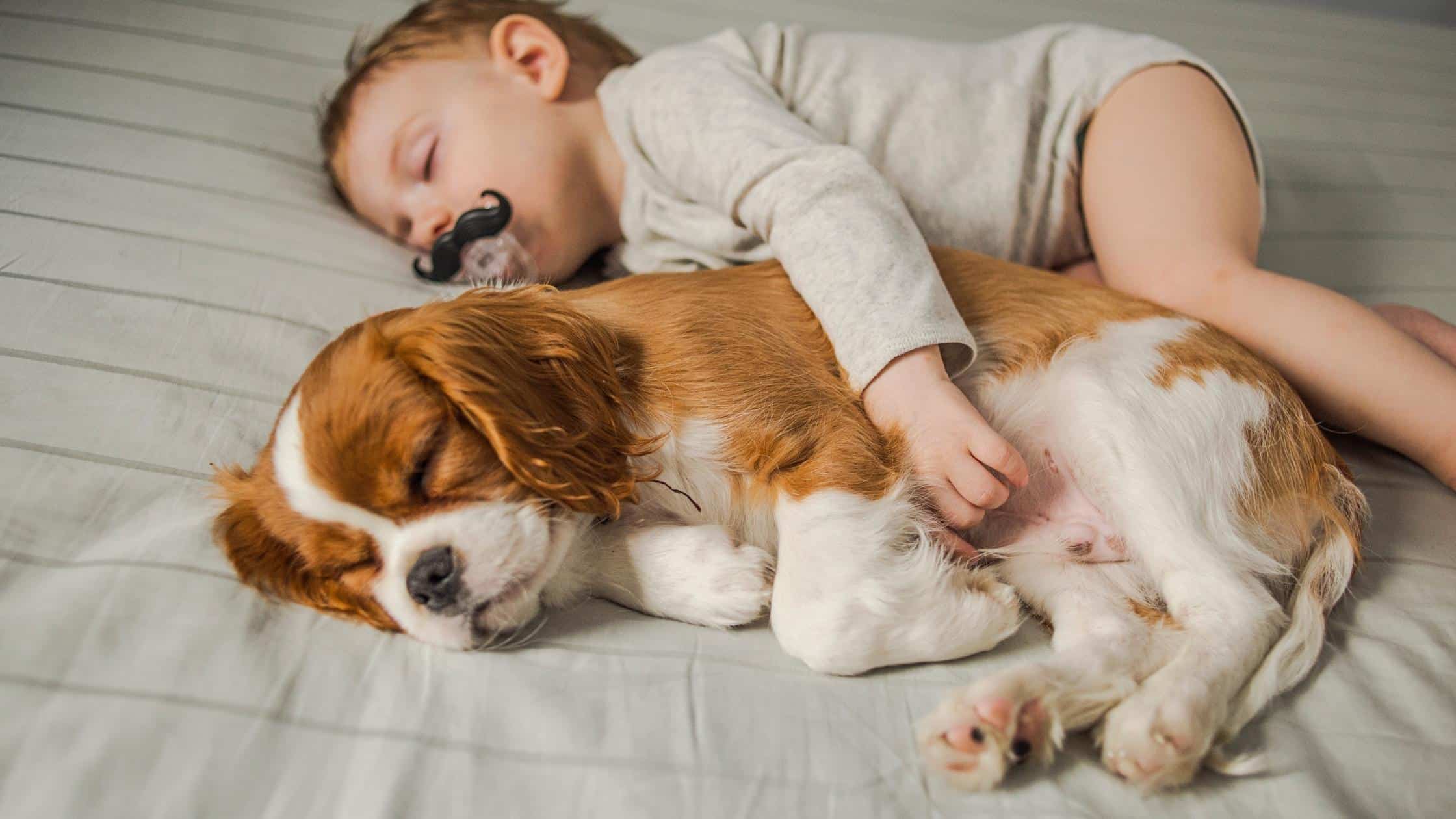baby sleeping with puppy