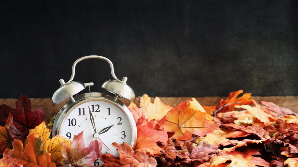 alarm clock in pile of fall leaves