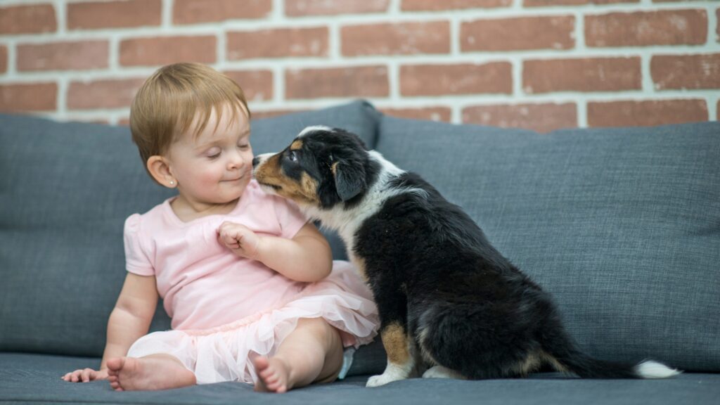 puppy and baby sitting