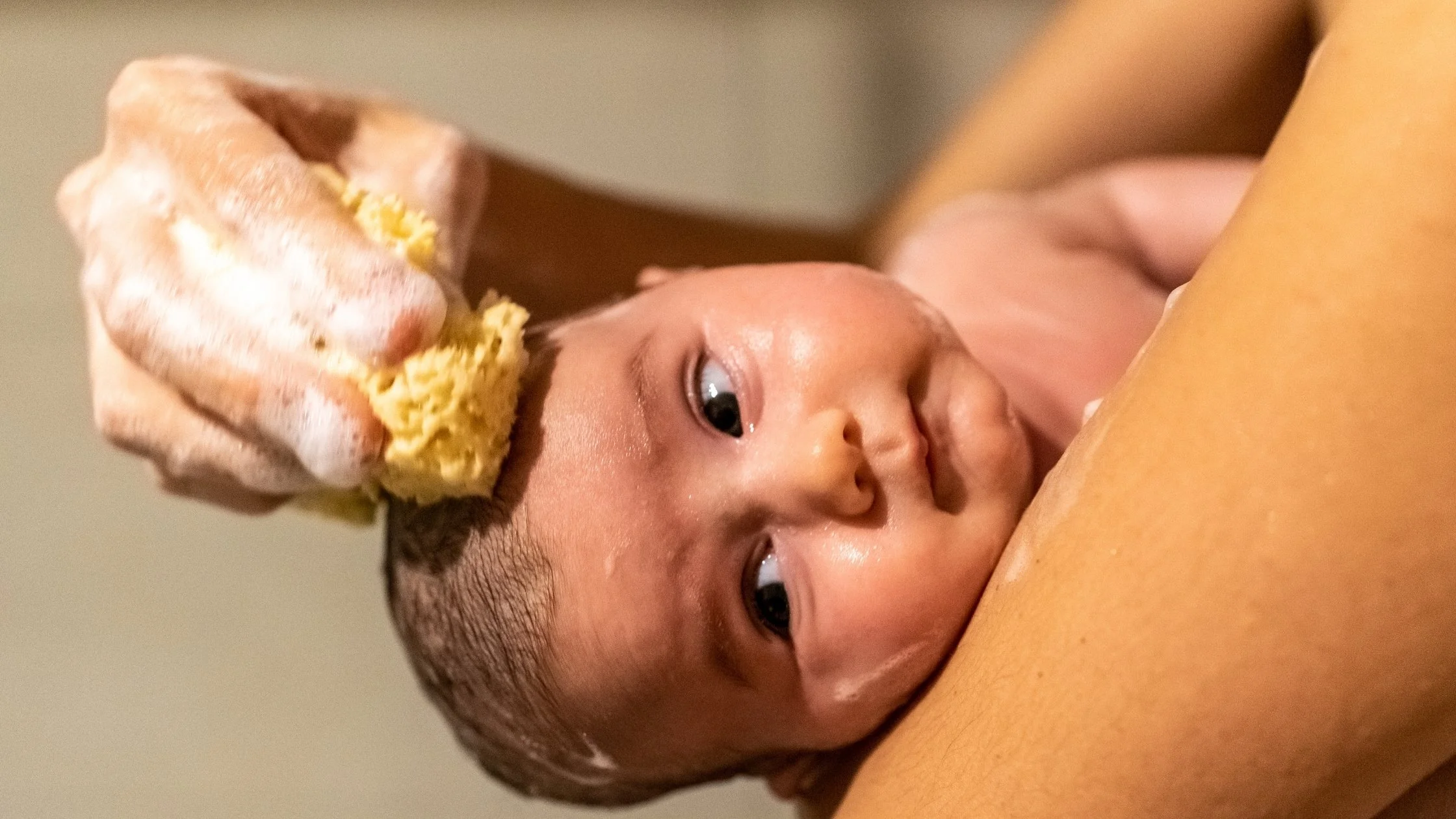 newborn getting a sponge bath